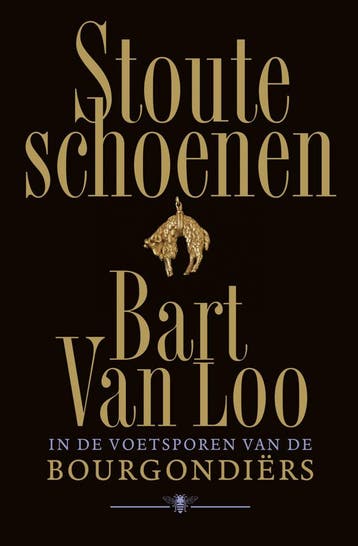 Stoute schoenen (Goed), Boeken, Verzenden, Gelezen, Bart Van Loo