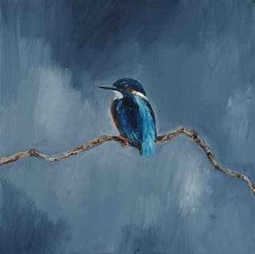 Matthieu van Riel - IJsvogel