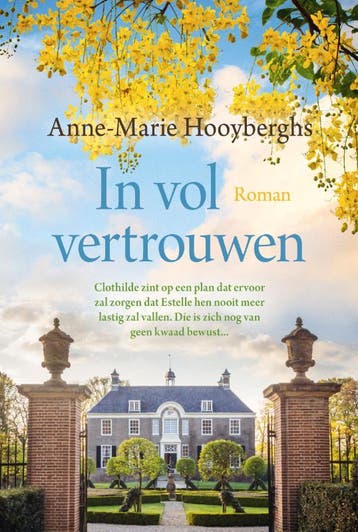 In vol vertrouwen - Anne-Marie Hooyberghs 9789020544794, Boeken, Verzenden, Zo goed als nieuw, Anne-Marie Hooyberghs
