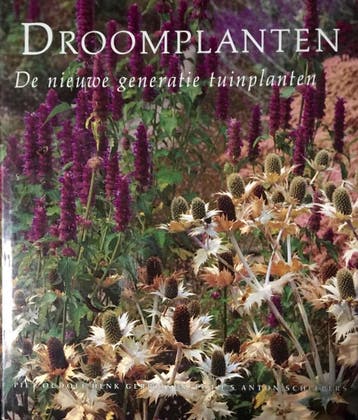 DROOMPLANTEN - Oudolf 9789062554843, Boeken, Verzenden, Gelezen, Oudolf