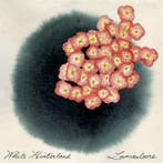 cd - White Hinterland - Luniculaire, Cd's en Dvd's, Verzenden, Zo goed als nieuw