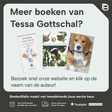 t Went zon element - Tessa Gottschal 9789063789121, Boeken, Verzenden, Gelezen, Tessa Gottschal