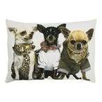 canvas kussen chihuahuas 35x50cm, Verzenden, Nieuw