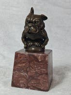 Bourcart daprès - sculptuur, Le Bulldog assis - 16 cm -, Antiek en Kunst