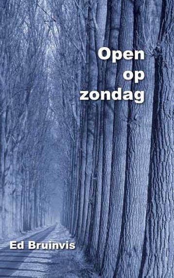 Open op zondag - E. Bruinvis 9789078215929, Verzenden, Zo goed als nieuw, E. Bruinvis