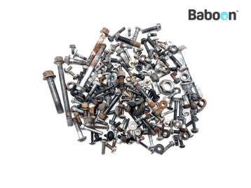 Bouten en Moeren Yamaha XT 660 Z Tenere 2008-2011 (XT660Z), Verzenden, Gebruikt
