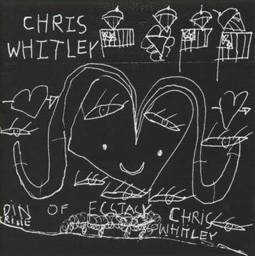cd - Chris Whitley - Din Of Ecstasy, Verzenden, Zo goed als nieuw
