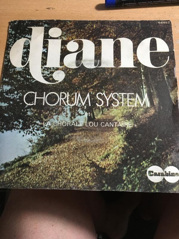 Chorum System - Diane / Blue Trombone, Cd's en Dvd's, Vinyl | Pop, Gebruikt, Ophalen of Verzenden