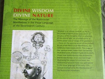 Divine Wisdom Divine Nature - Cis van Heertum & José Bouman, Verzenden, Zo goed als nieuw, Jose Bouman