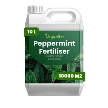 Pepermunt vloeibare meststof - 10 liter, Verzenden, Mest
