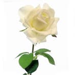 Zijden Roos Ivoorwit Large Single 70 cm per stuk, Ophalen of Verzenden, Nieuw