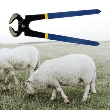 Professionele Hoefkniptang – Hoeftrimmer voor Paarden, Dieren en Toebehoren, Paarden en Pony's | Overige Paardenspullen, Verzenden