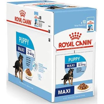 Royal Canin maxi natvoer voor puppy zakjes 10x140gr, Verzenden, Hond