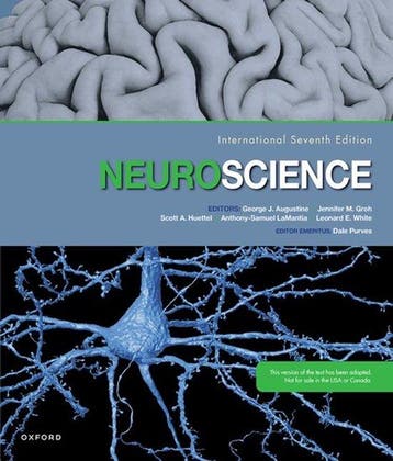 9780197572511 Neuroscience Dale Purves, Boeken, Verzenden, Nieuw, Dale Purves