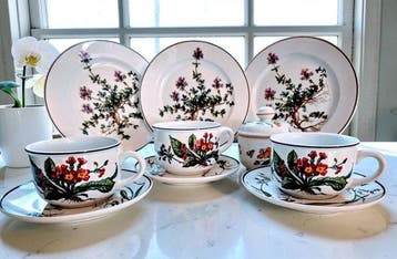 Villeroy & Boch - Ontbijtservies (10) - Porselein - Botanica