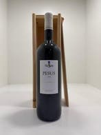 2014 Bodegas Hnos. Saste, Viña Sastre Pesus - Ribera del, Nieuw