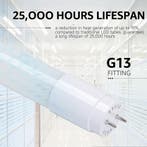LED TL Buis - T8 G13 - Velvalux - 60cm - 8W 960lm - 840, Ophalen of Verzenden, Nieuw