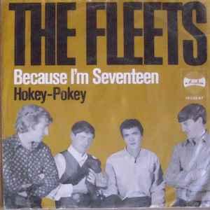 vinyl single 7 inch - The Fleets - Because Im Seventeen, Verzenden, Zo goed als nieuw, 7 inch, Rock en Metal