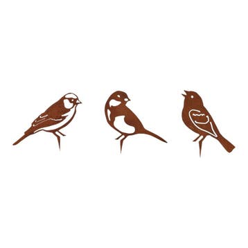 Tuindecoratie Drie Vogels Roest – Mus, Vink en Koolmees van, Verzenden, Nieuw