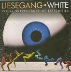 cd - Liesegang - Visual Surveillance Of Extremities, Verzenden, Zo goed als nieuw