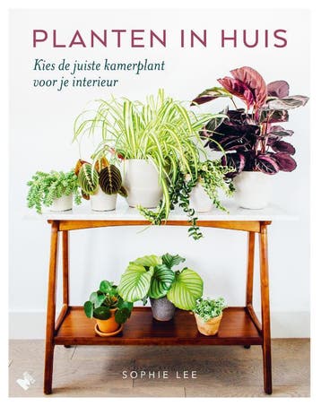 Planten in huis - Sophie Lee 9789022334065, Verzenden, Zo goed als nieuw, Sophie Lee