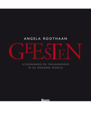 Geesten - Angela Roothaan 9789461054128, Verzenden, Gelezen, Angela Roothaan