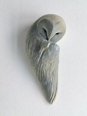 Federico Alibrio - Silent Lithos - Sleeping Barn Owl