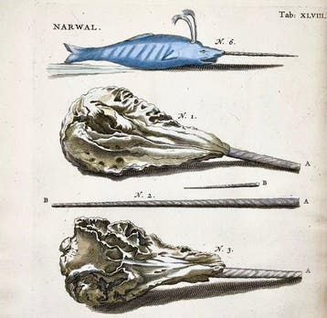 Matthäus Merian (1593-1650) Folio hand coloured engraving: