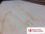 Underlayment 18 mm goedkoop, Nieuw, Overige materialen, Minder dan 20 mm