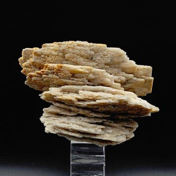 Barietbladen biterminaat, lamellaire kristallen, Sardinië