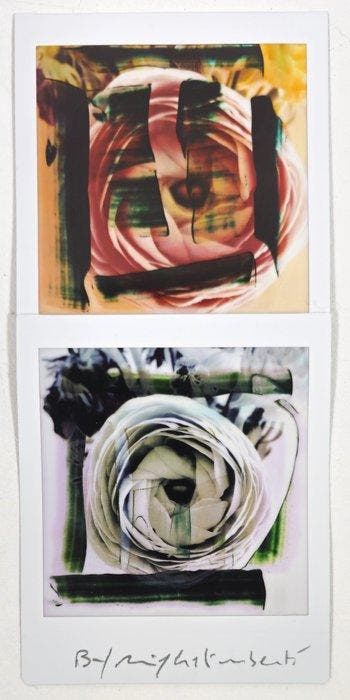 Maurizio Galimberti (1956–) - BiFlowers - 11541