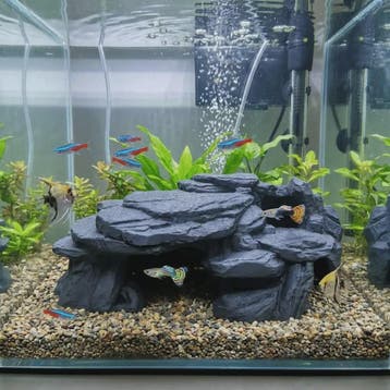 Realistische Rots Grot Decoratie voor Aquarium & Terrarium -, Dieren en Toebehoren, Verzenden, Nieuw