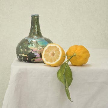 Ursula van de Bunte - When Life gives you Lemons