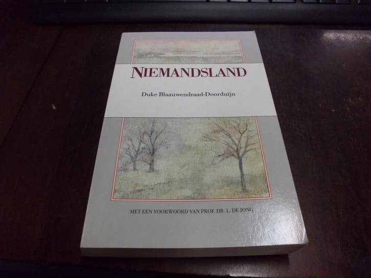 NIEMANDSLAND - Blaauwendraad Ddorduyn 9789050930888, Boeken, Literatuur, Gelezen, Verzenden