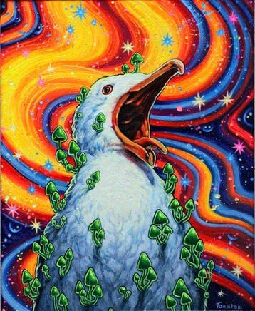 Tauritari - mouette, Antiek en Kunst, Kunst | Schilderijen | Modern