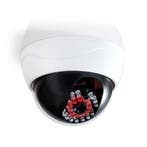 Dummy camera - IR LEDs - Op batterijen, Verzenden, Nieuw