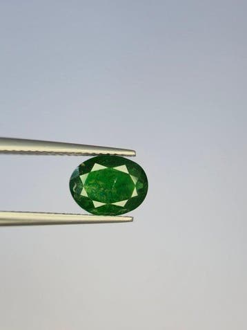 Zonder minimumprijs Groen Tsavoriet - 2.49 ct -, Nieuw
