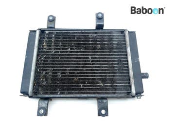 Radiateur SYM Joymax 300 Z+ 2022, Motoren, Verzenden, Gebruikt