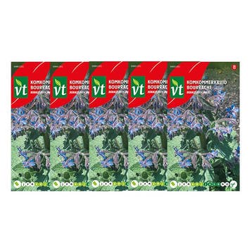Komkommerkruid zaad | VT | 5 stuks, Verzenden