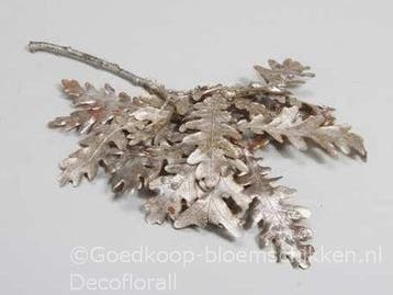 Eikenblad Platinumwash ca. 150 gr, Ophalen of Verzenden, Nieuw