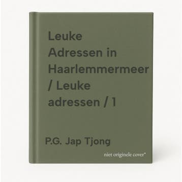 Leuke Adressen in Haarlemmermeer / Leuke adressen / 1, Boeken, Verzenden, Zo goed als nieuw, P.G. Jap Tjong