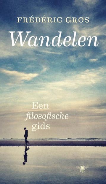 Wandelen - Frederic Gros 9789023477341, Boeken, Verzenden, Zo goed als nieuw, Frederic Gros