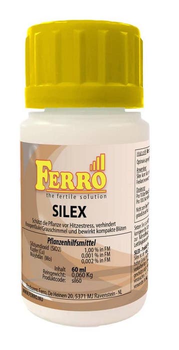 Ferro Silex 60 ml, Verzenden, Nieuw