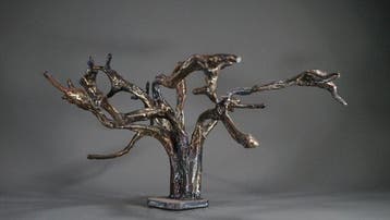 Corné Nuham - Tamariz 1
