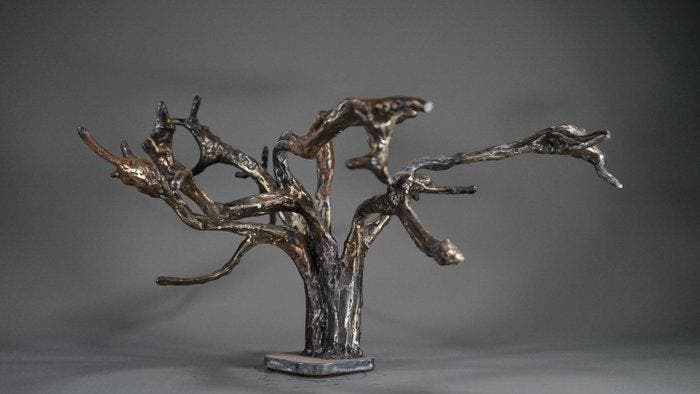 Corné Nuham - Tamariz 1, Antiek en Kunst, Kunst | Designobjecten