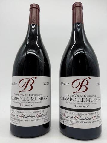 2024 Domaine Anne et Sébastien Bidault « Hermance » -, Nieuw