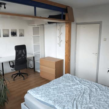 Kamer in Delft gevonden voor €550,- pm, Minder dan 20 m², Delft