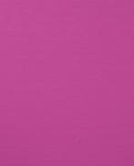 Punta di Roma Cyclaam Roze, Nieuw, Roze