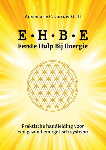 9789464611847 Eerste hulp bij Energie Annemarie C. van de..., Verzenden, Nieuw, Annemarie C. van der Grift