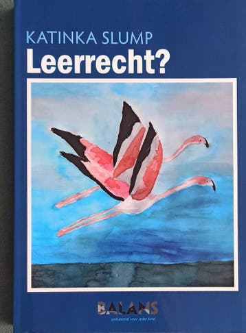 Leerrecht? - Katinka Slump 9789083030609, Verzenden, Zo goed als nieuw, Katinka Slump